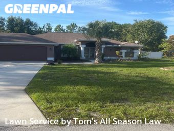 Lawn Cut nearby Spring Hill, FL, 