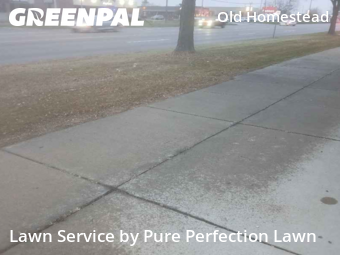 Backyard Mowing in Southgate, 48195, Lawn Maintenance by Pure Perfection Lawn, work completed in Dec , 2025