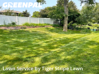Yard Mowing nearby Omaha, NE, 