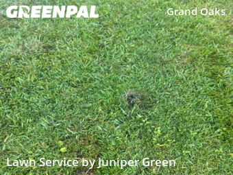 Lawn Mowing Service nearby Land O' Lakes, FL, 