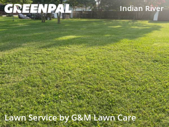 Lawn Mow nearby Chesapeake, VA, 