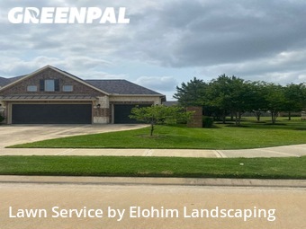 Lawn Mowing nearby Katy, TX, 