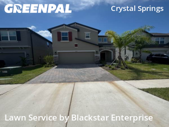 Grass Cut nearby Zephyrhills, FL, 