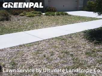 Lawn Care nearby Wimauma, FL, 