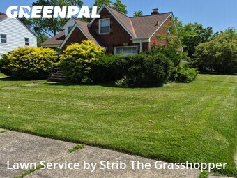 Lawn Maintenance nearby Euclid, OH, 