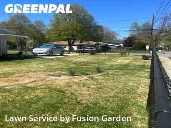 Yard Cutting nearby Silver Spring, MD, 