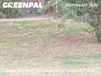 Yard Mowing nearby Schertz, TX, 