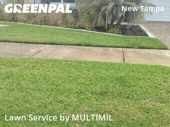 Lawn Maintenance nearby Tampa, FL, 