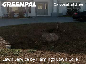 Lawn mowed in Cape Coral, 33904