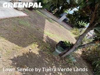 Lawn mowing work completed in Rosemead, CA