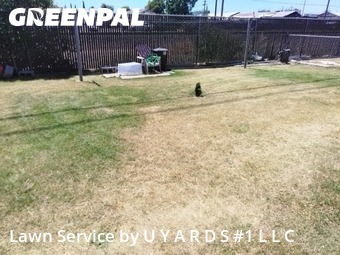 Yard Mowing nearby Riverbank, CA, 