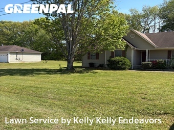 Lawn mowed in Madison, 35756