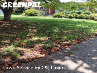 Grass Cut nearby Smyrna, TN, 