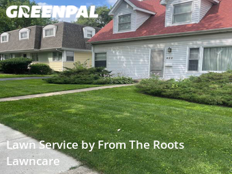 Lawn Cutting nearby Elmhurst, IL, 