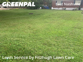 Grass Cut nearby Nashville Davidson, TN, 