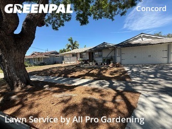 Work completed by professional-lawn-care-service-in-Santa Ana-CA