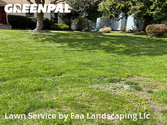 Grass Cutting nearby Silver Spring, MD, 