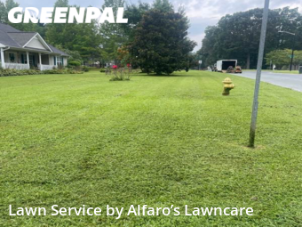 Yard Cutting nearby Monroe, NC, 