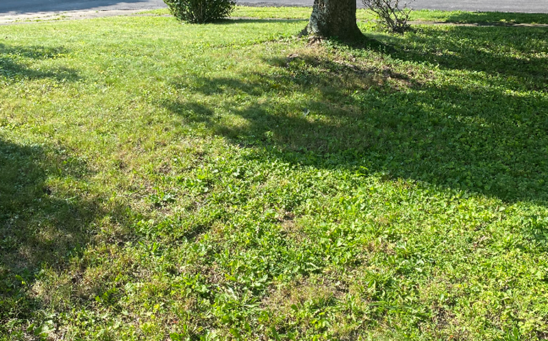 Work Image 2