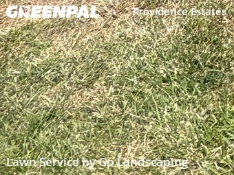 Lawn Care nearby Matthews, NC, 