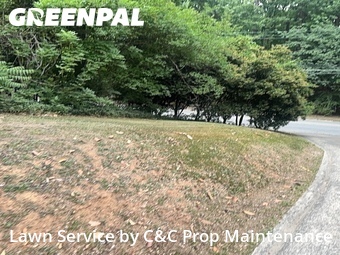 Yard Cutting nearby Chapel Hill, NC, 