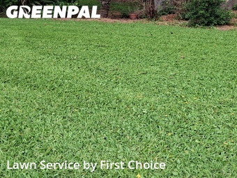 Lawn Service nearby St. Augustine, FL, 