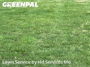 Grass Cutting nearby Saint Joseph, MO, 
