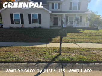 Landscaping Maintenance in Belleville, 62221, Backyard Mowing by Just Cuts Lawn Care, work completed in Nov , 2025