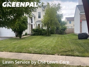 Lawn Mowing Service nearby Joliet, IL, 