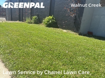 Yard Cutting nearby Columbus, OH, 