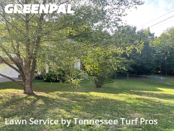 Grass Cutting nearby Hendersonville, TN, 