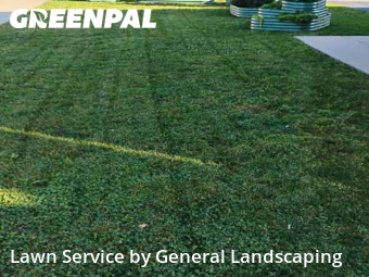 Yard Management in Elmwood Park, 60707, Garden Trimming by General Landscaping , work completed in Nov , 2025