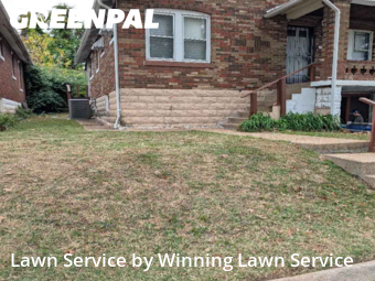 Lawn Care Service nearby St. Louis, MO, 