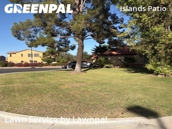 Grass Cutting nearby Gilbert, AZ, 