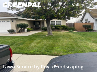 Lawn Mowing Service nearby Stockton, CA, 