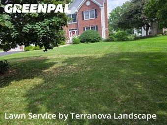 Yard Upkeep in Hoffman Estates, 60192, Yard Care by Terranova Landscape, work completed in Nov , 2025
