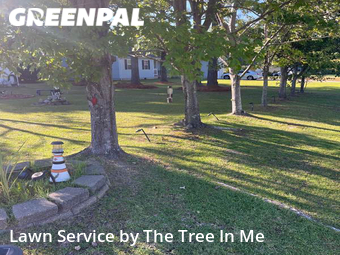 Lawn Cutting nearby Hubert, NC, 