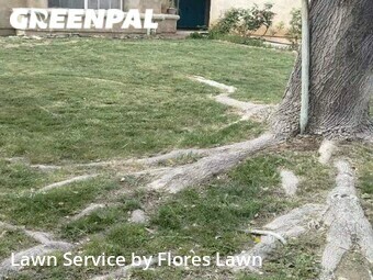 Lawn Care nearby Palmdale, CA, 