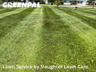 Lawn Cutting nearby Knoxville, TN, 