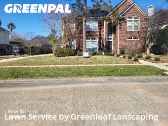 Lawn Mowingin Pearland,77584,Lawn Service by Greenleaf Lanscaping, work completed in Feb , 2026