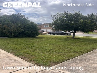 Yard Cutting nearby Converse, TX, 