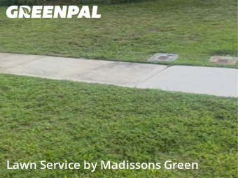 Lawn Mowing Service nearby Royal Palm Beach, FL, 