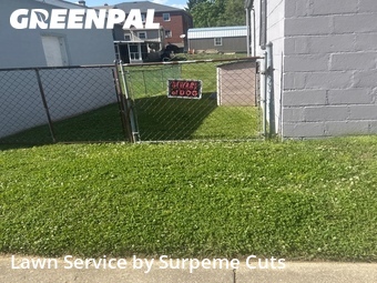 Lawn Service nearby Cincinnati, OH, 