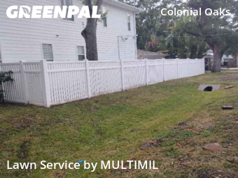 Lawn Cut nearby Tampa, FL, 