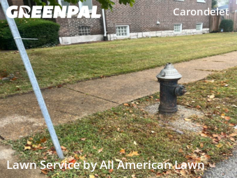 Lawn Service nearby St. Louis, MO, 