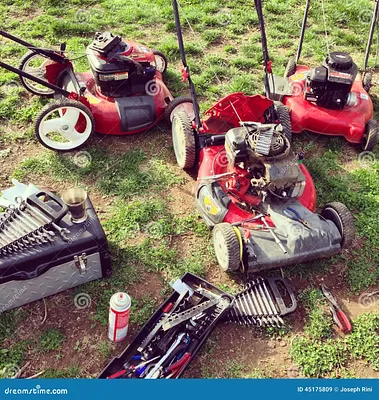 Yosemite Small Engine Repair Photo 5