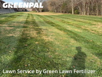 Weed Trimming in Springfield, 65810, Yard Cutting by Green Lawn Fertilizer, work completed in Nov , 2025