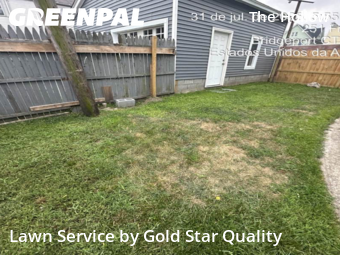 Property Maintenance in Bridgeport, 6604, Lawn Upkeep by Gold Star Quality , work completed in Nov , 2025