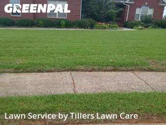 Lawn Cutting nearby Madison, AL, 