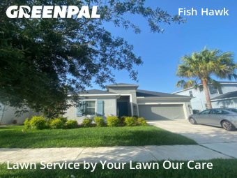 Lawn Upkeep in Fish Hawk, 33547, Yard Maintenance by Cnp Lawn Care, work completed in Nov , 2025